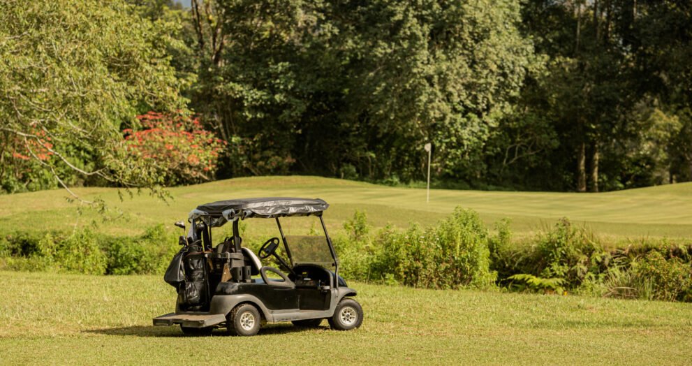 club car electric speed controller